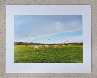 A Break in The Weather, Avon Valley, Burgate, A3 print with 20" x 16" mount. £28