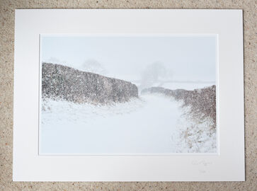Walking My Way Through Winter (To the New Forest via Burgate Manor Farm, A3+ with 24" x 18" mount, fine art paper Limited Edition. £40