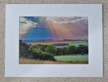 Rolling Wessex, Breamore, A4 print with 16" x 12" mount. £20
