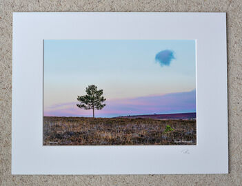 Lonely as a Cloud, A4 print with 16" x 12" mount. £20