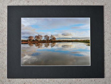 Abbots Well, Frogham, New Forest, A4 print with 16" x 12" mount. £20
