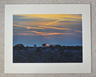 New Forest winter sunrise, Coopers Hill, A3 print with 20" x 16" mount. £28