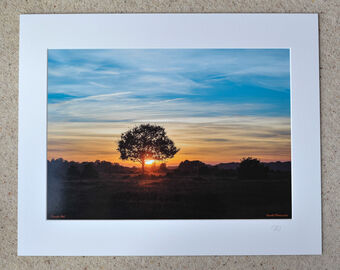 Bramble Hill, New Forest sunset, A3 print with 20" x 16" mount. £20