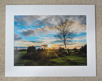 A Winter Walk on Gorley Common, A3 print with 20" x 16" mount. £20