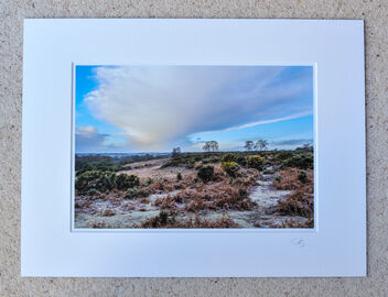 Frost at Ashley Range, A4 print with 16" x 12" mount. £20