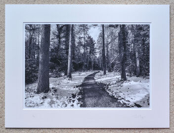 Snow at Godshill Wood (b&w), A3+ print with 24" x 18" mount, fine art paper, Limited Edition. £40