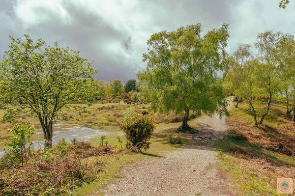 Wet, As We Like It, Rockford Common