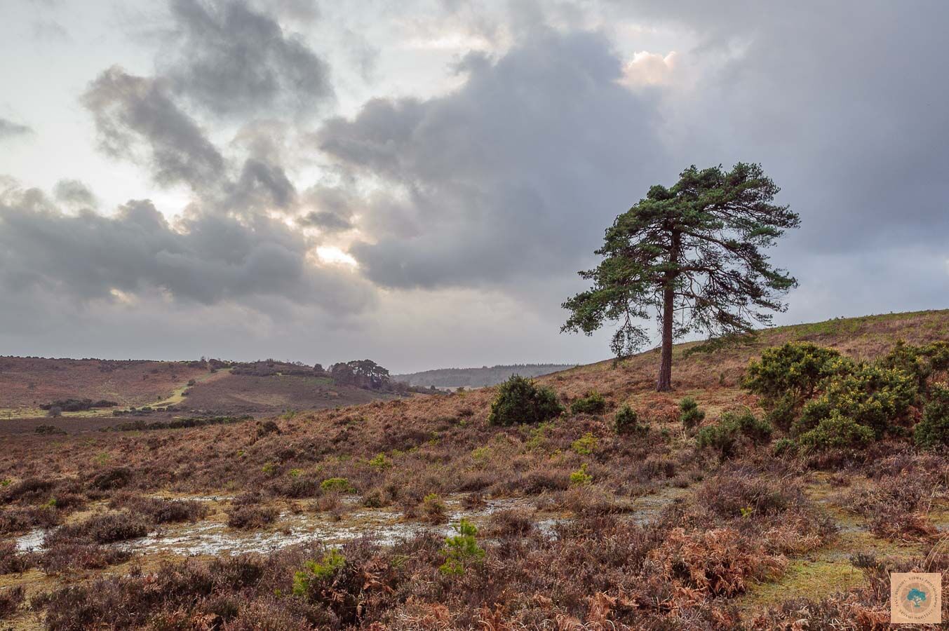 Unsettled Weather, Deadman Hill
