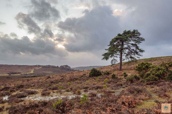 Unsettled Weather, Deadman Hill