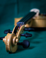 5 string violin