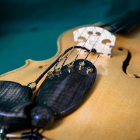 Electro-acoustic Vio-5