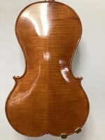 H10 Vio-4 acoustic back