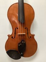 C Vio-4, 4 string acoustic violin £3,500