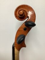 H10 Vio-4 acoustic scroll side