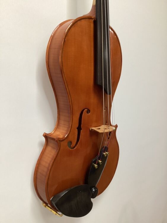 H10 Vio-4 acoustic side view