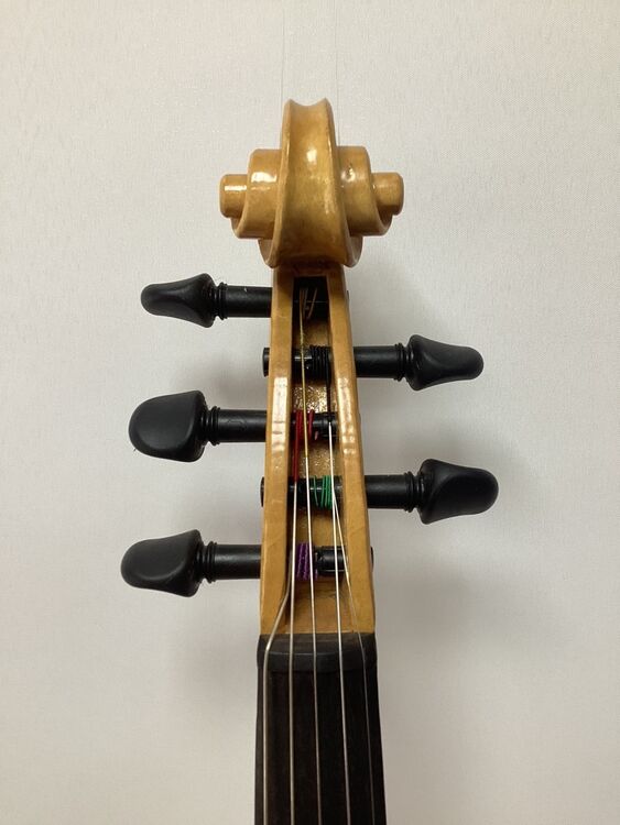 H1 Scroll and pegbox