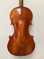 H6 Nicolo Amati 1649 back