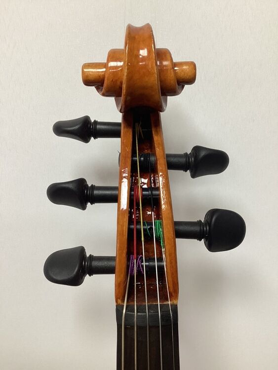 H9 Vio-5 Mk.2 Scroll and pegbox