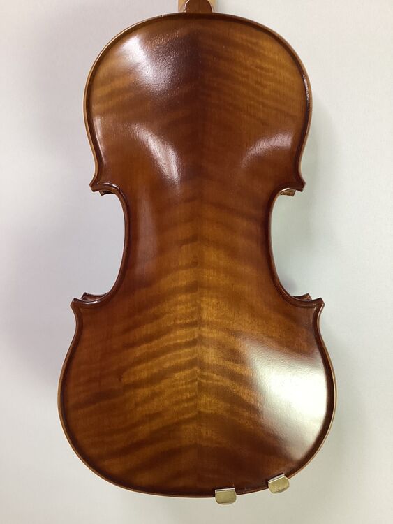 N  Electro acoustic back