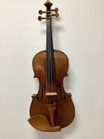 R29 German Conservatory 1900