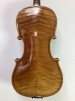 R31 German Maggini copy back