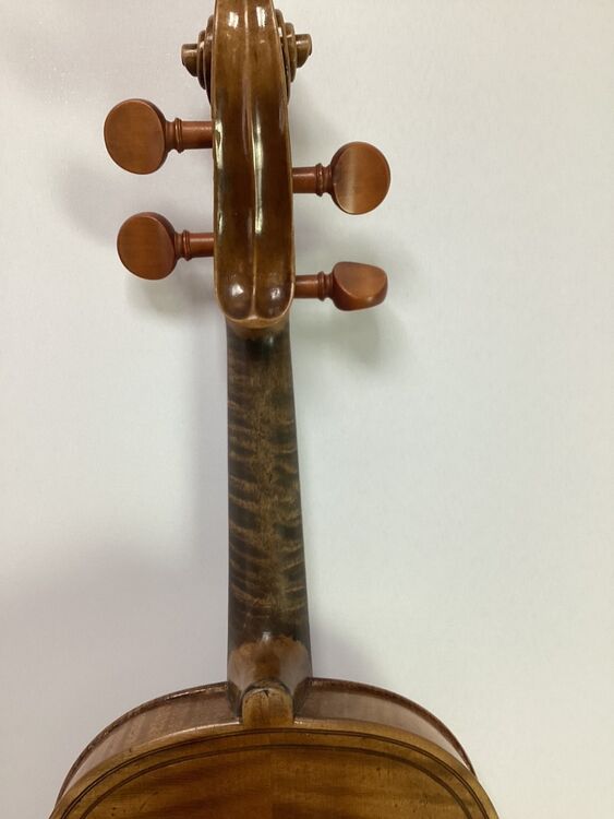 R31 German Maggini copy pegbox rear