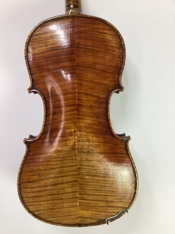 R German violin back