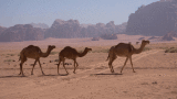 Impressions of Jordan
