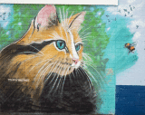 Street art
