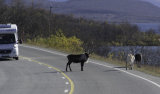 Finnish Lapland and Norway