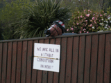 Smile - We are in a stable condition