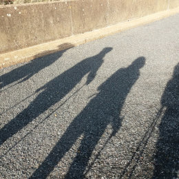 shadows