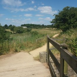 bridge over river yar