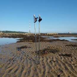 All about poles