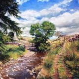 SUMMER VIEW SCALHAW BRIDGE