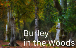 Burley in the woods