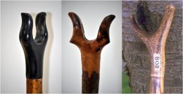 Thumbsticks
