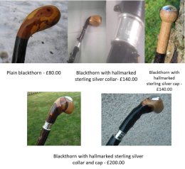 Blackthorn Walking Sticks