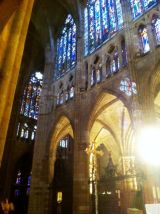 Selected camino photos 18th June 2013 260