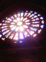 Selected camino photos 18th June 2013 263