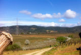 Selected camino photos 18th June 2013 365