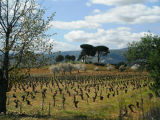 Selected camino photos 18th June 2013 369