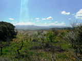 Selected camino photos 18th June 2013 372