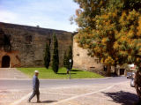 Selected camino photos 18th June 2013 374