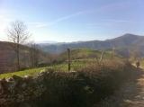 Selected camino photos 18th June 2013 389