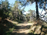 Selected camino photos 18th June 2013 395