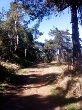 Selected camino photos 18th June 2013 396