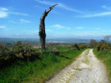 Selected camino photos 18th June 2013 414