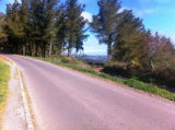 Selected camino photos 18th June 2013 433