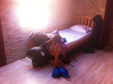 Selected camino photos 18th June 2013 437